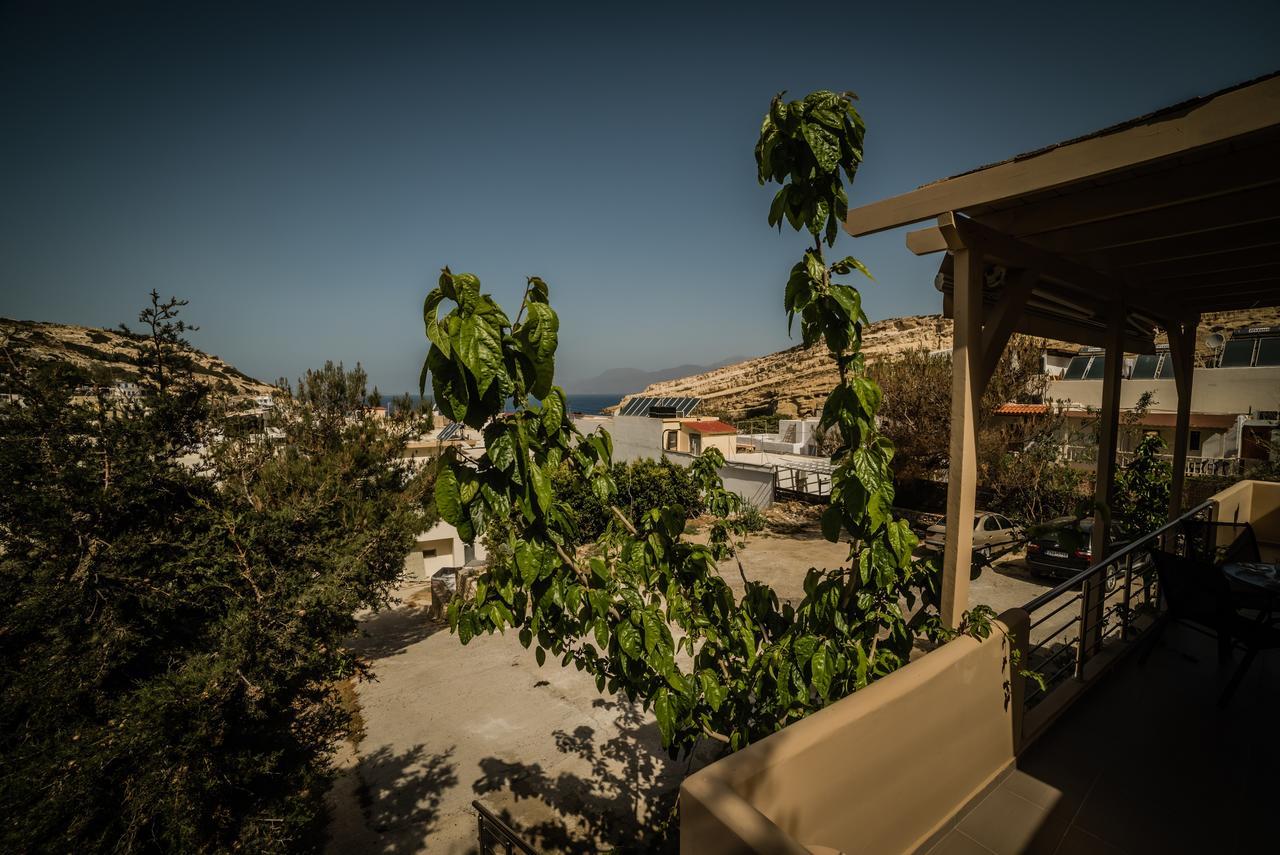 Villa Dream